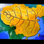 非匪杂谈的头像